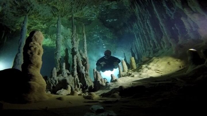 Playa del Carmen Private Cenote Two Dives For Certified Divers