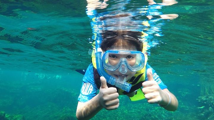 Cenote VIP Day Trip with Snorkel Guide