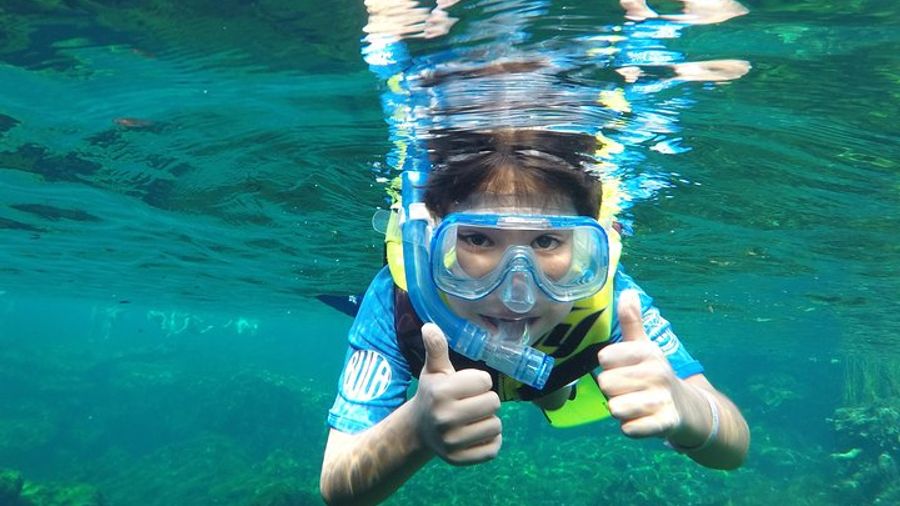 Cenote VIP Day Trip with Snorkel Guide