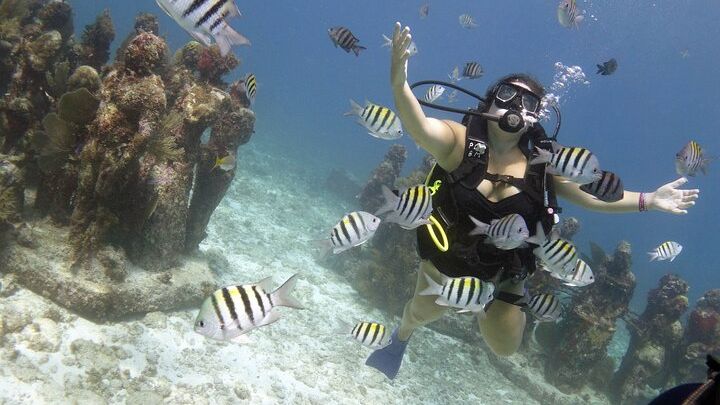 Isla Mujeres PADI Discover Scuba Diving Small-Group Tour