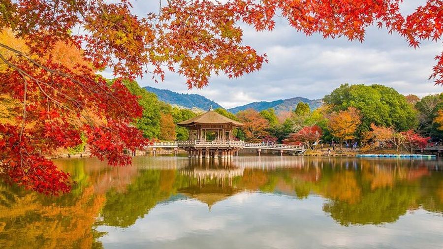 Nara - Highlights Bike Tour