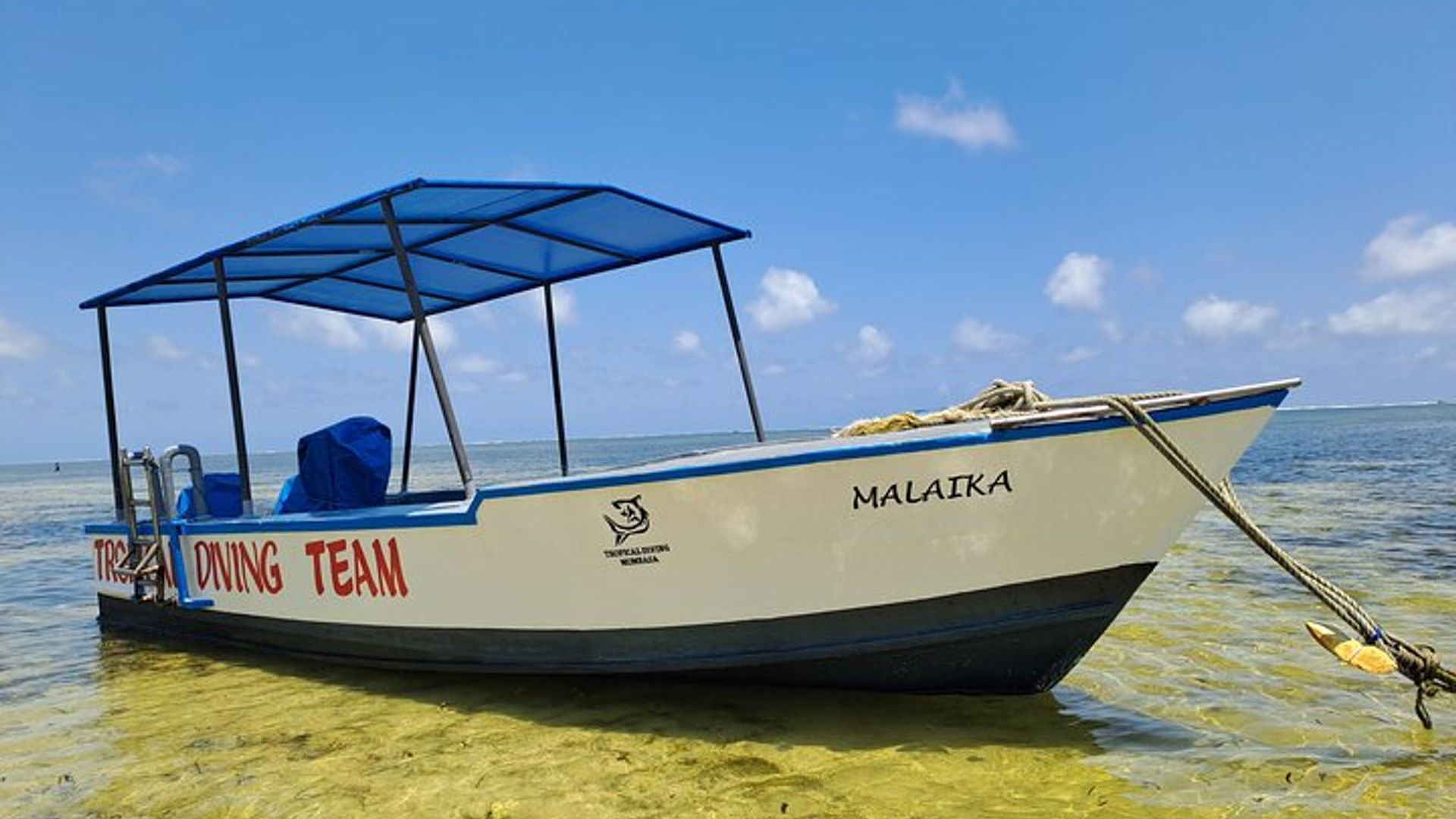 Half Day Dive Trip for Certified Divers