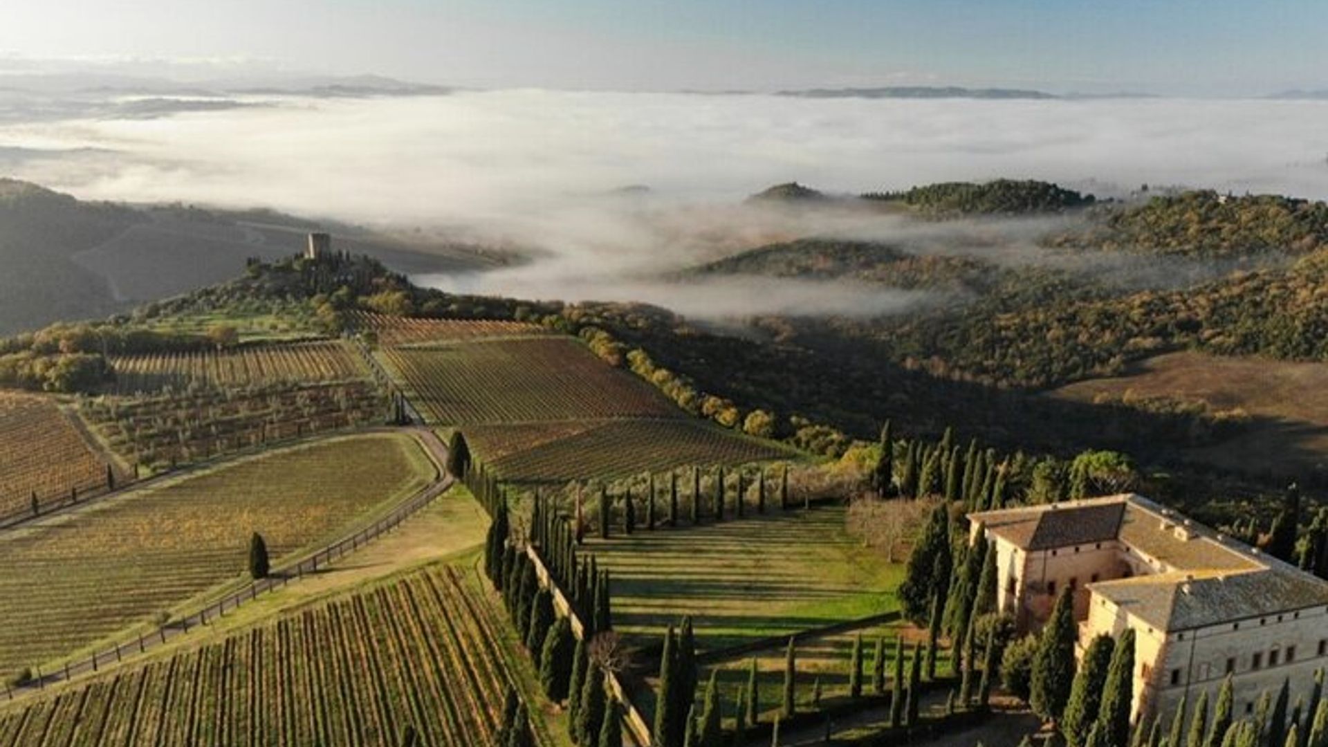 Visite privée des vignobles de Brunello, trois visites de vignobles de luxe et déjeuner