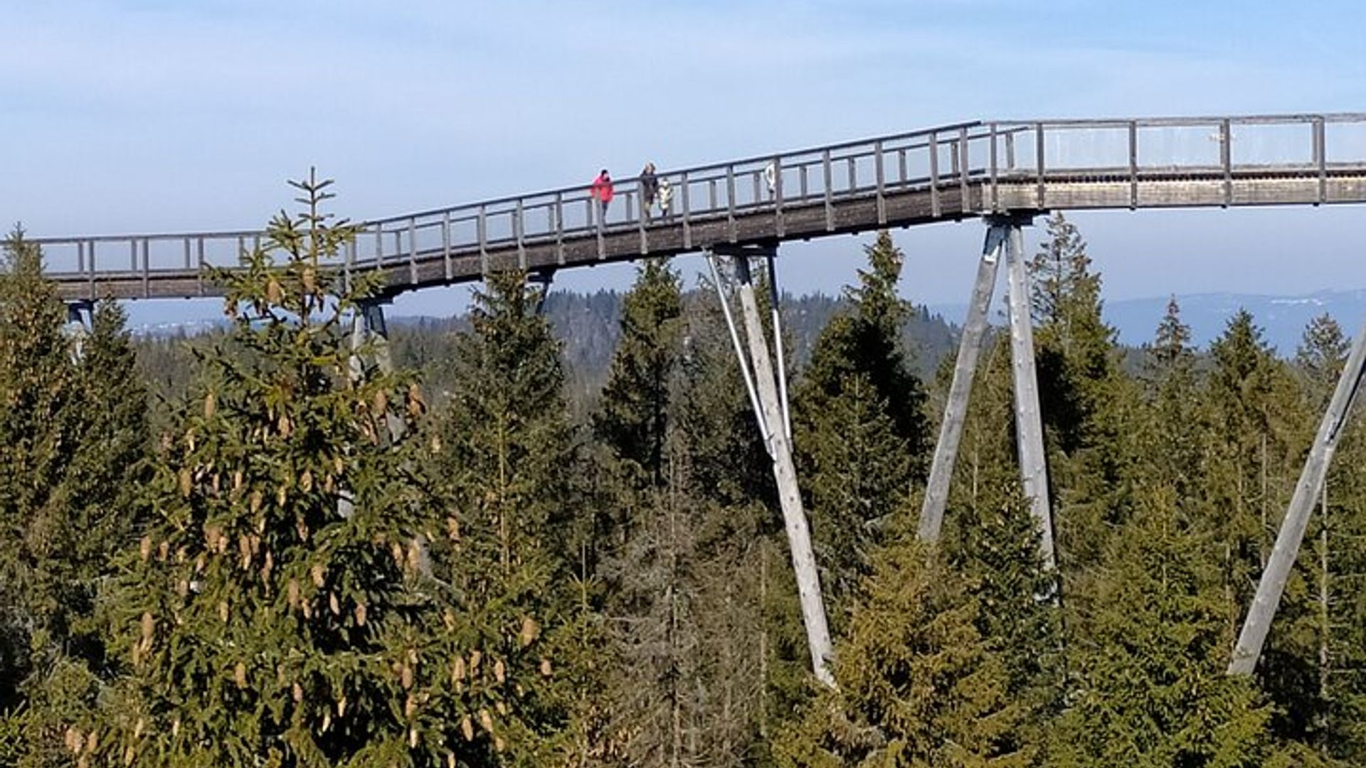 Tree Top Walk en Slovaquie et visite privée de Zakopane au départ de Cracovie