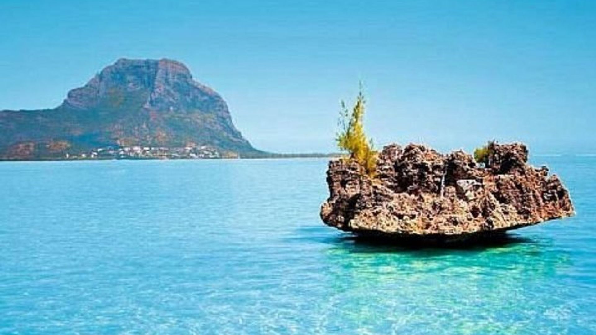 Ile aux Benitiers Speedboat Sightseeing Tour
