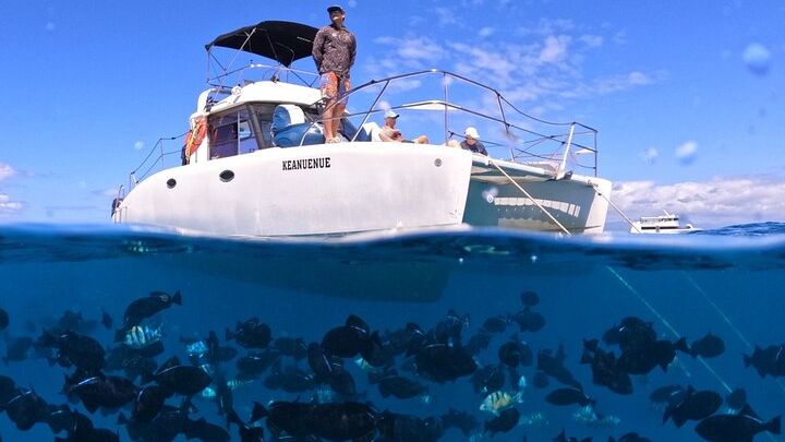 Turtle Canyon: Small-Group Snorkel Tour From Waikiki