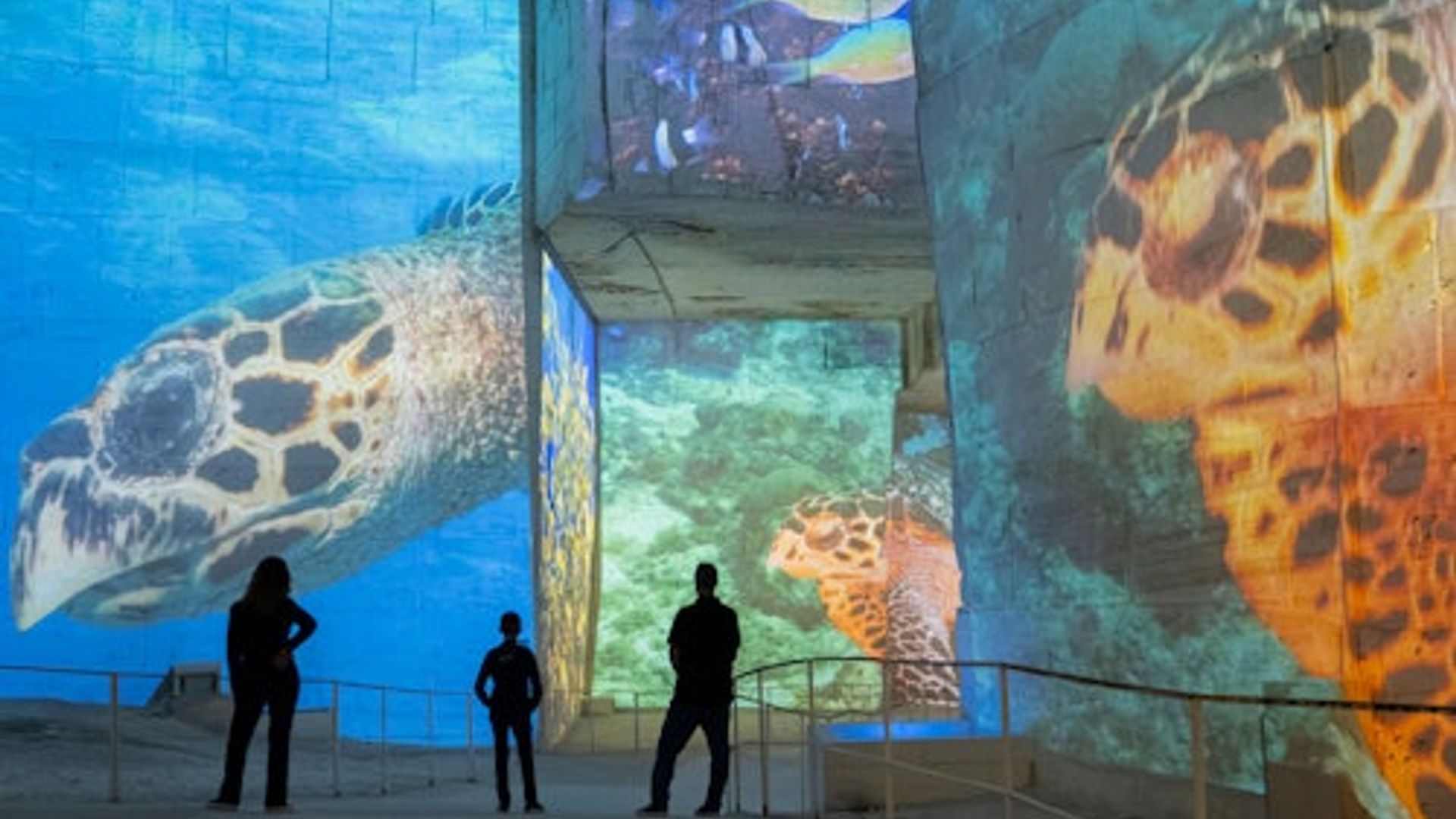 Carrières des Lumières: Ocean Exposición