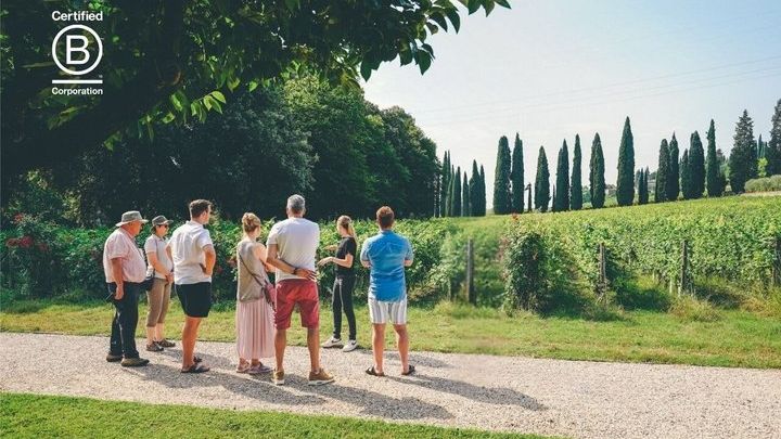 Verona to Amarone Wine Trail Small-Group Tasting Tour