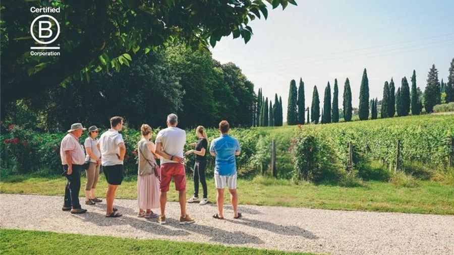 Verona to Amarone Wine Trail Small-Group Tasting Tour
