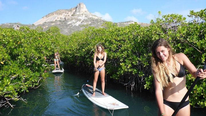 Guided paddleboarding (SUP) mangrove ECO tour for beginners