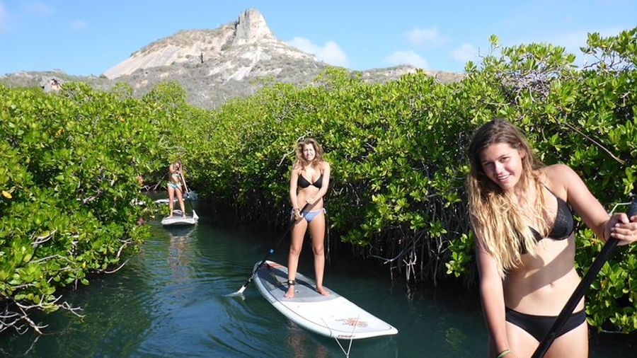Guided paddleboarding (SUP) mangrove ECO tour for beginners