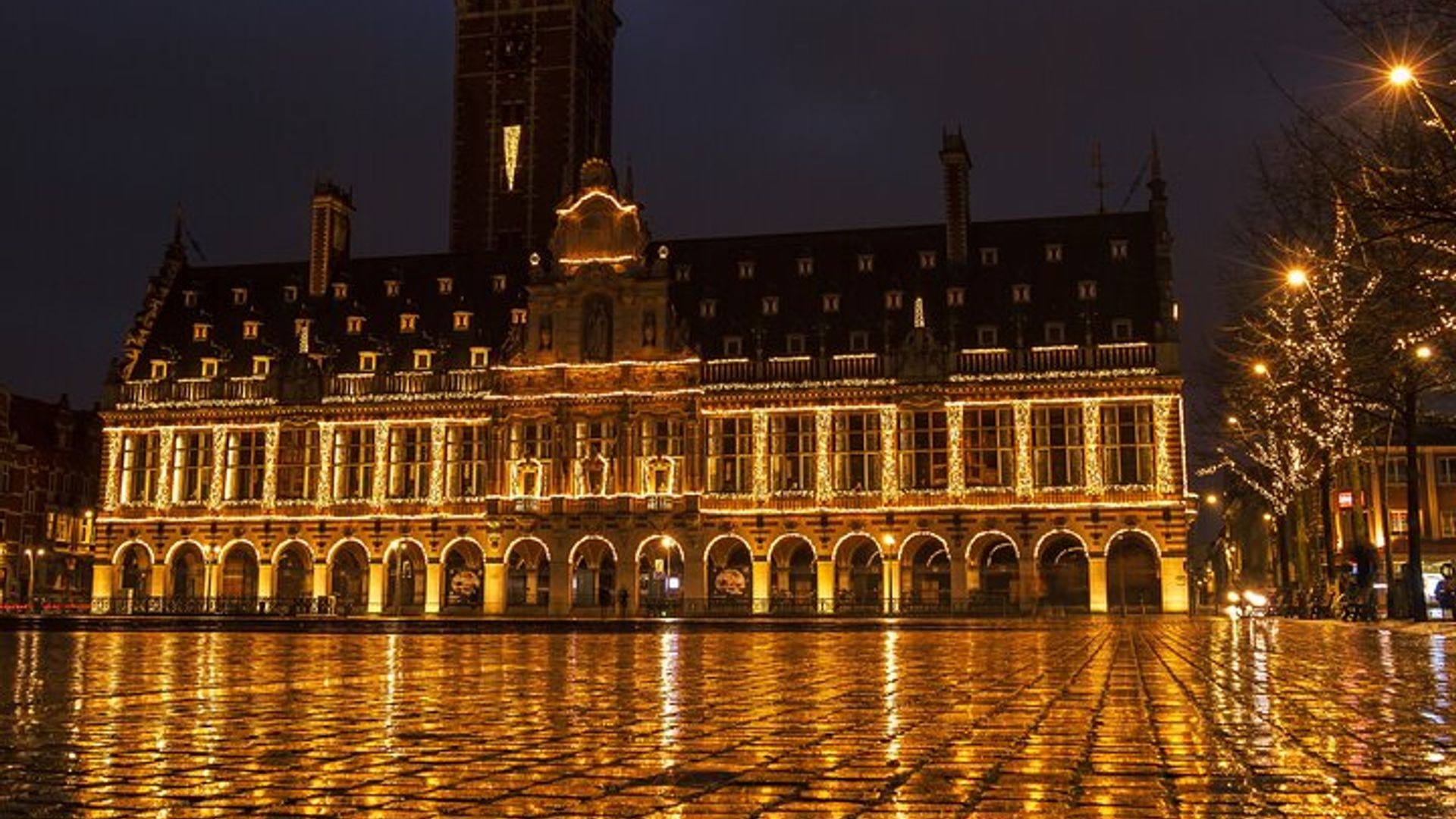Special Christmas Journey in Leuven - Walking Tour