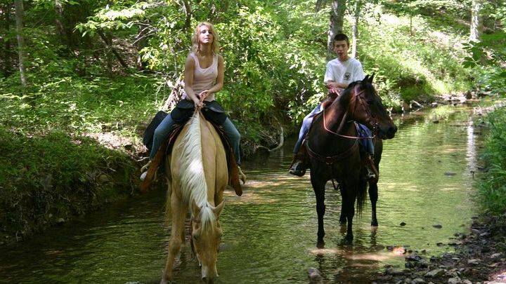 Marmaris: Horse Riding Experience with Transfer