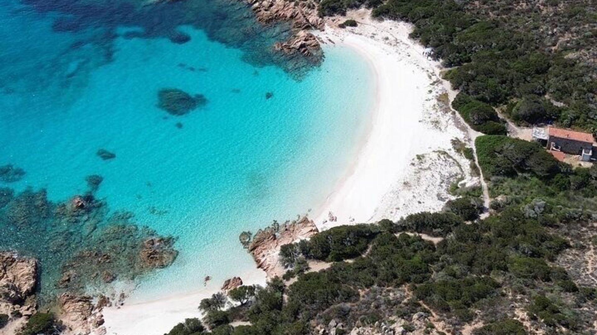 Croisière d'une journée en voilier en petit groupe sur l'archipel de La Maddalena