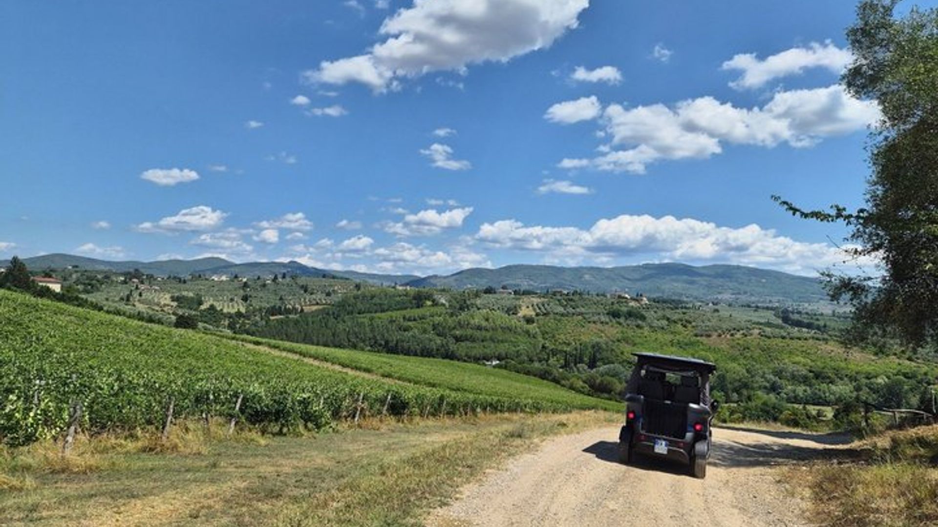 Florence Golf Cart Countryside Tour with Wine and Farm Meal