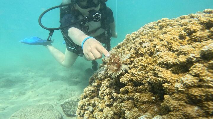 Honolulu Beginner Scuba Experience with Video Package