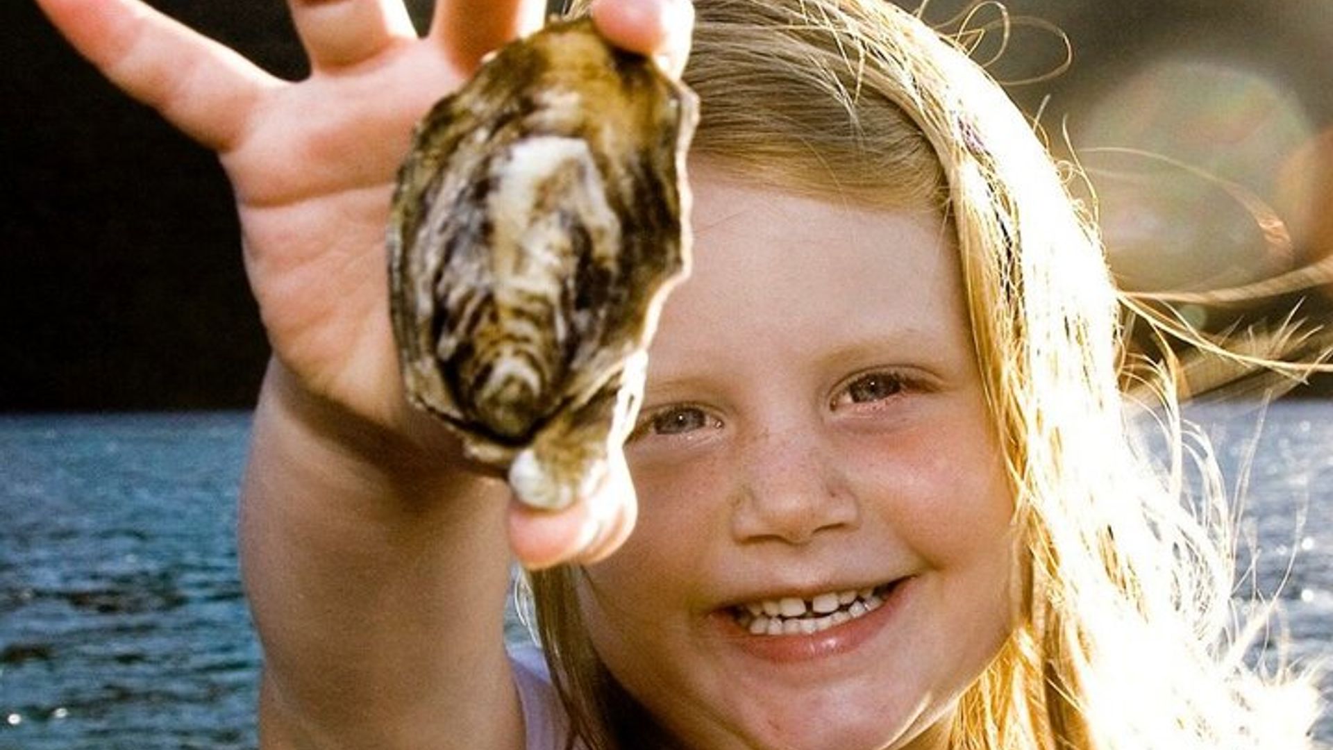 Knysna Austerntour in kleiner Gruppe