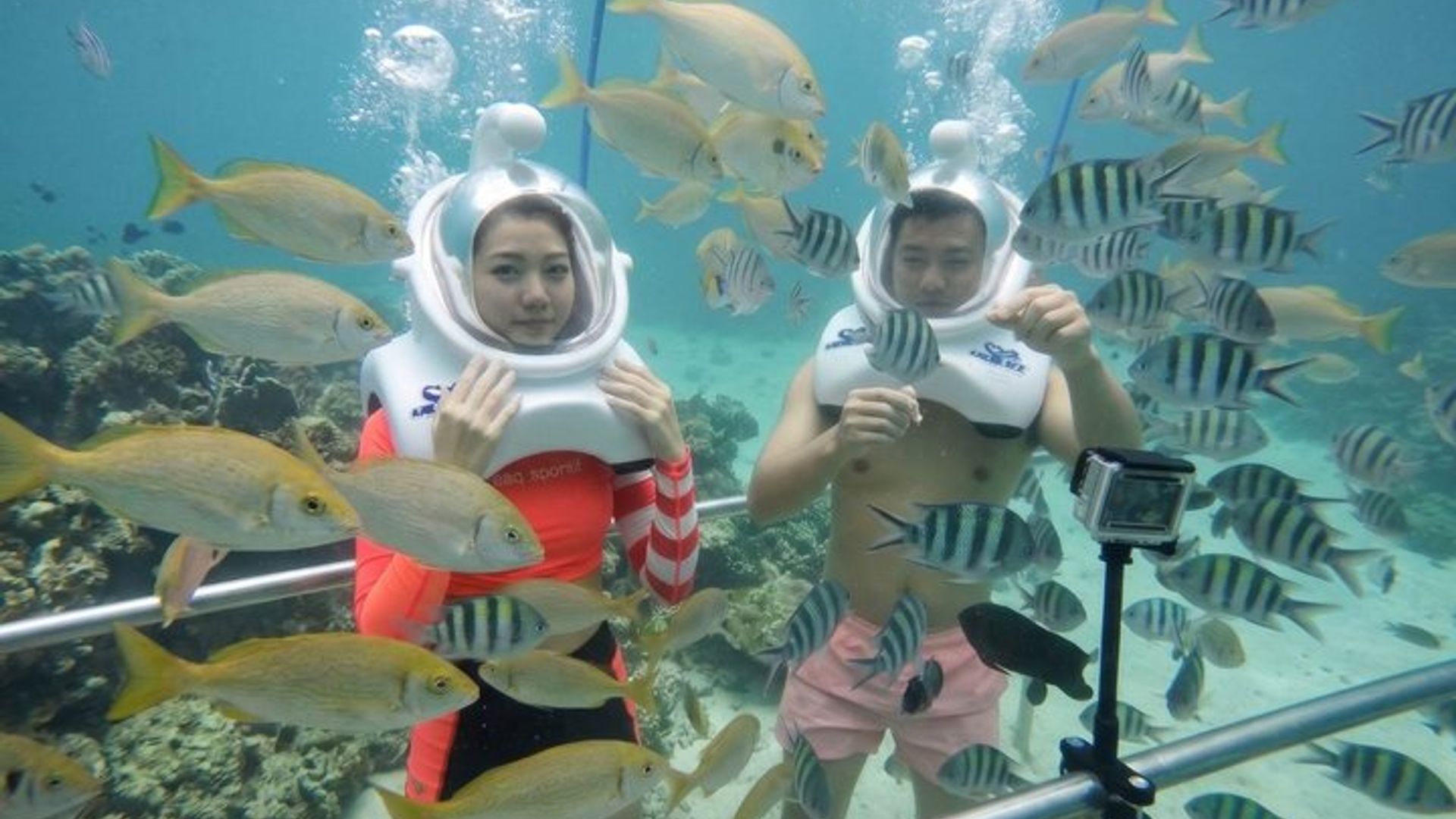 Crucero de día completo de las islas Cham: caminata subacuática, snorkeling