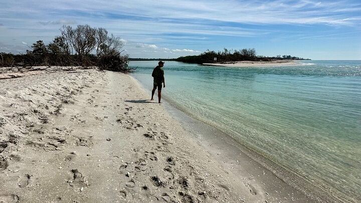 Sarasota Small-Group Clear Kayak Marine Preserve Experience