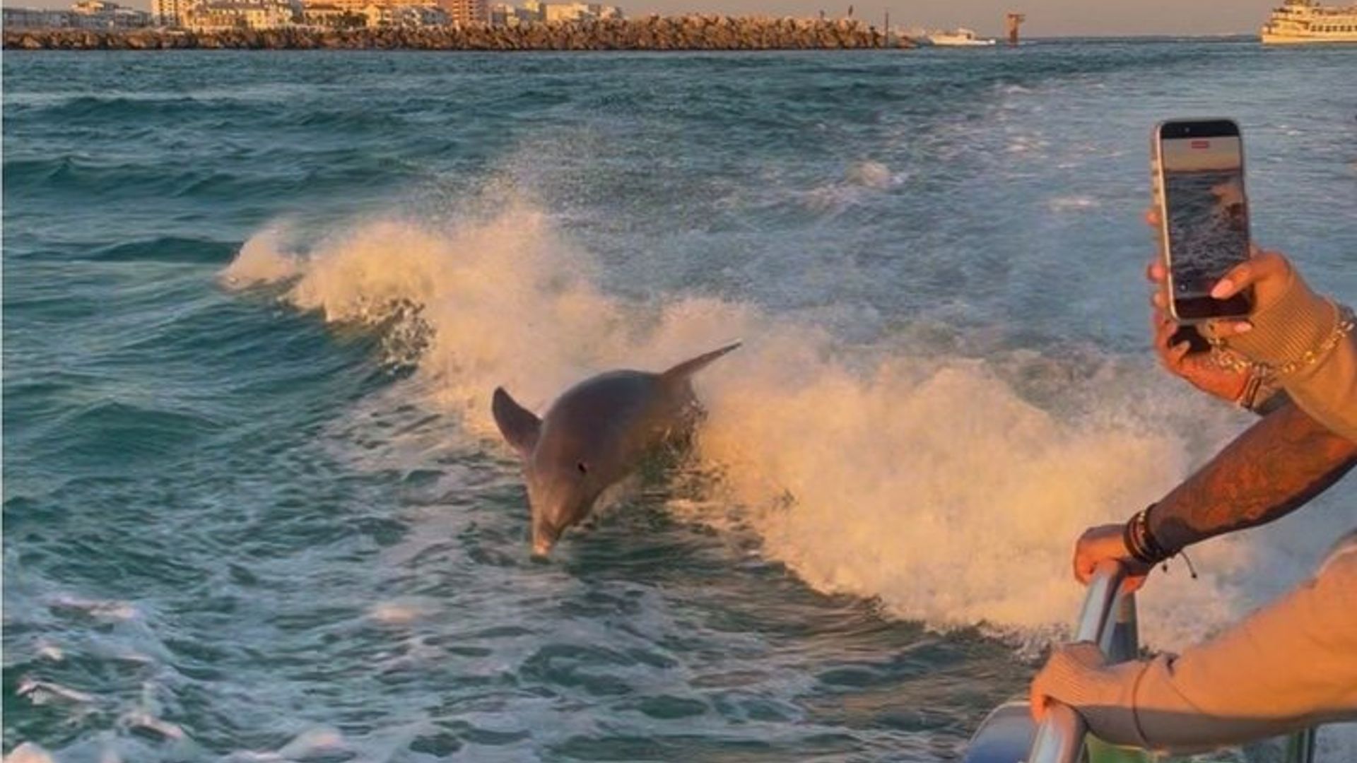 Destin Hydrojet Dolphin Watching Cruise