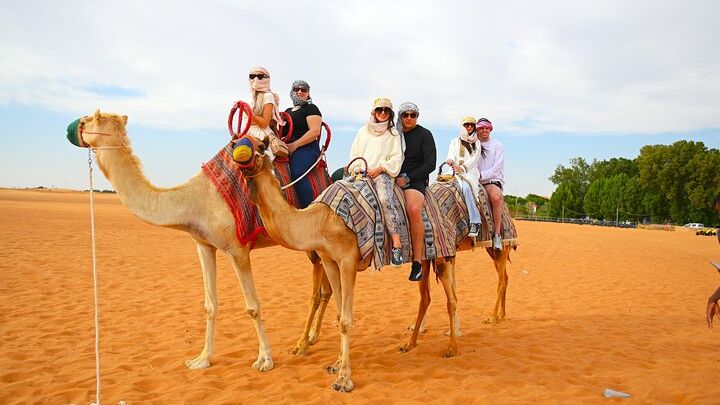 Dubai Desert Activities: Camels, Sand Boarding, & Dune Bashing