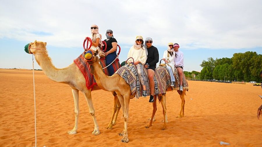 Dubai Desert Activities: Camels, Sand Boarding, & Dune Bashing