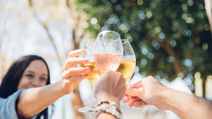 Auckland Waiheke Wine Tour: 4 Vineyards, Local Guide
