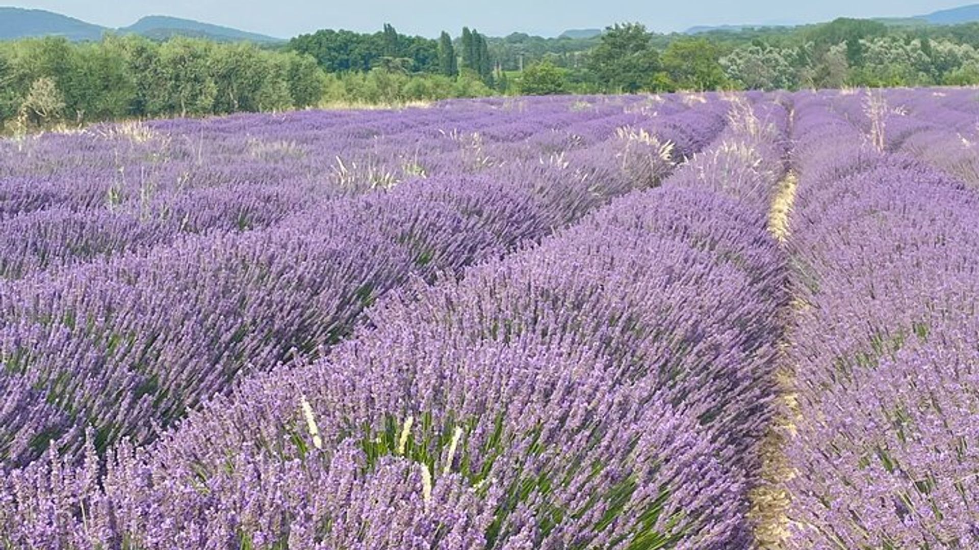 Les plus beaux villages de Provence