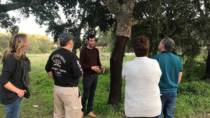 Albufeira Wine Tasting: Boutique Winery Tour & Historic Silves