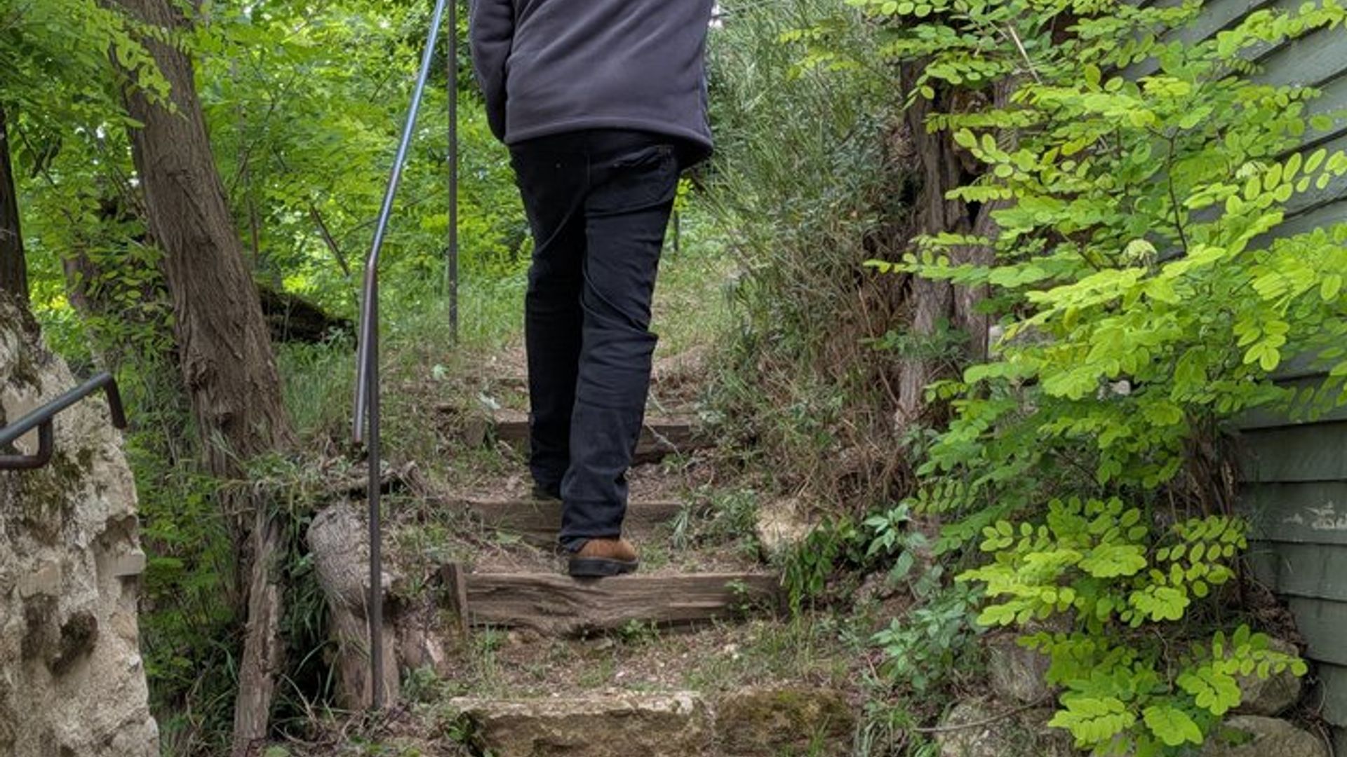 París : Auvers-sur-Oise Tour privado de pintura “Raíces de árboles”