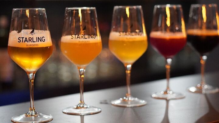 Strasbourg Local Craft Beer Tasting Small-Group Experience
