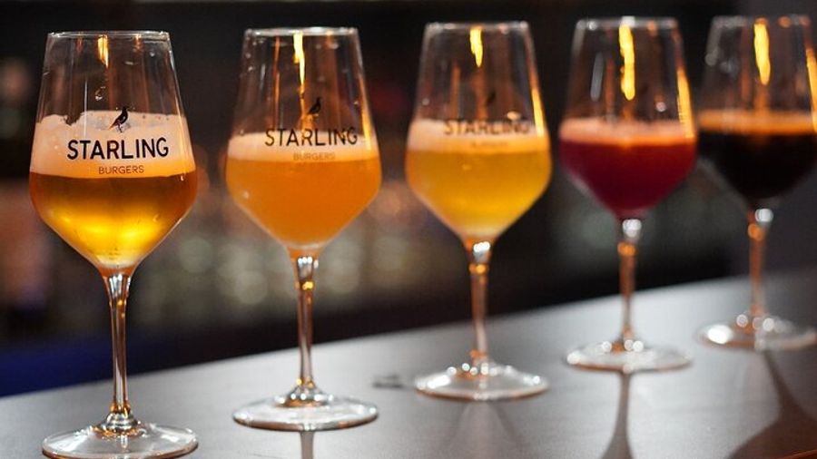 Strasbourg Local Craft Beer Tasting Small-Group Experience
