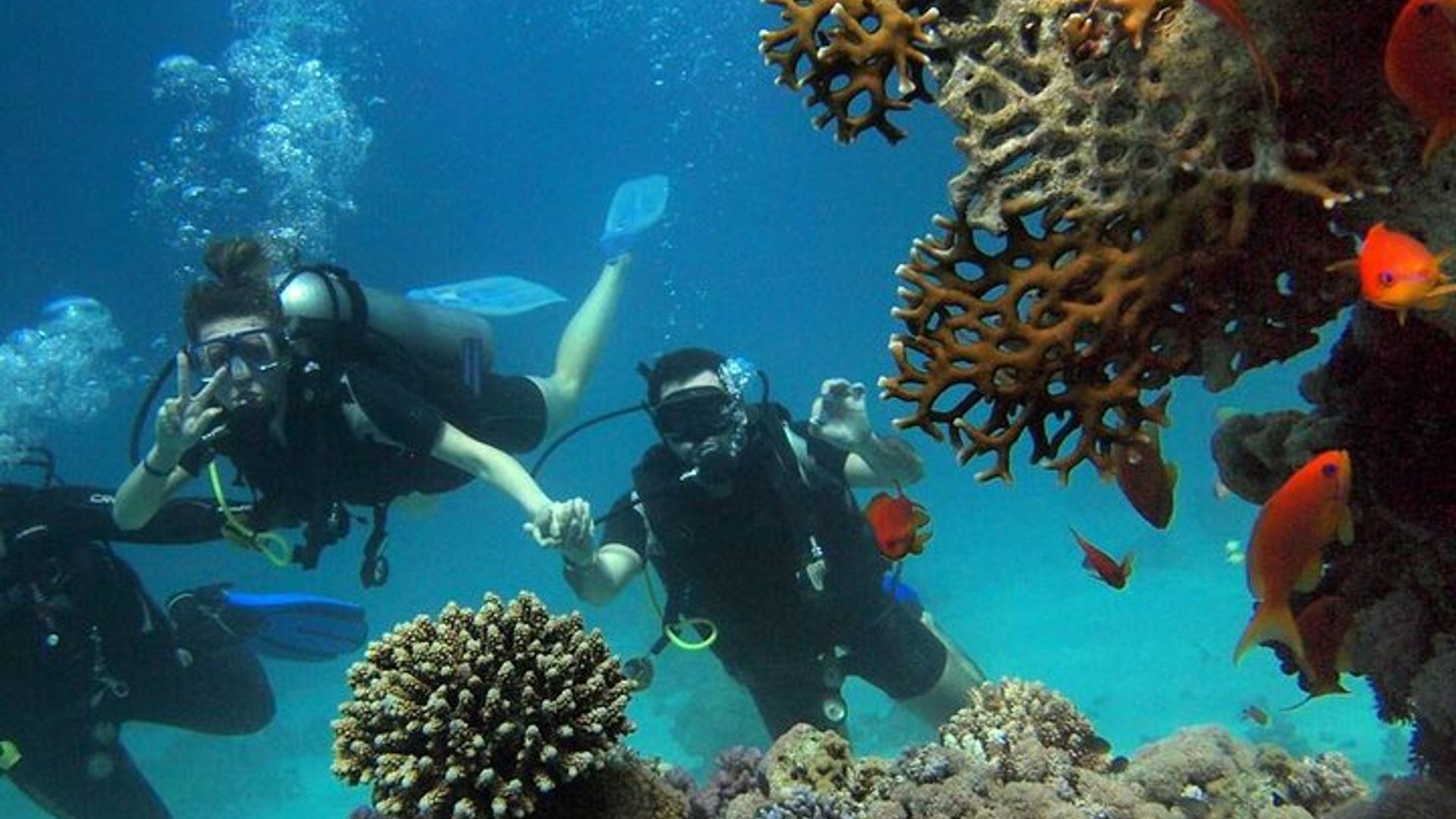 Side Scuba Diving Adventure with Lunch & Roundtrip Transfer