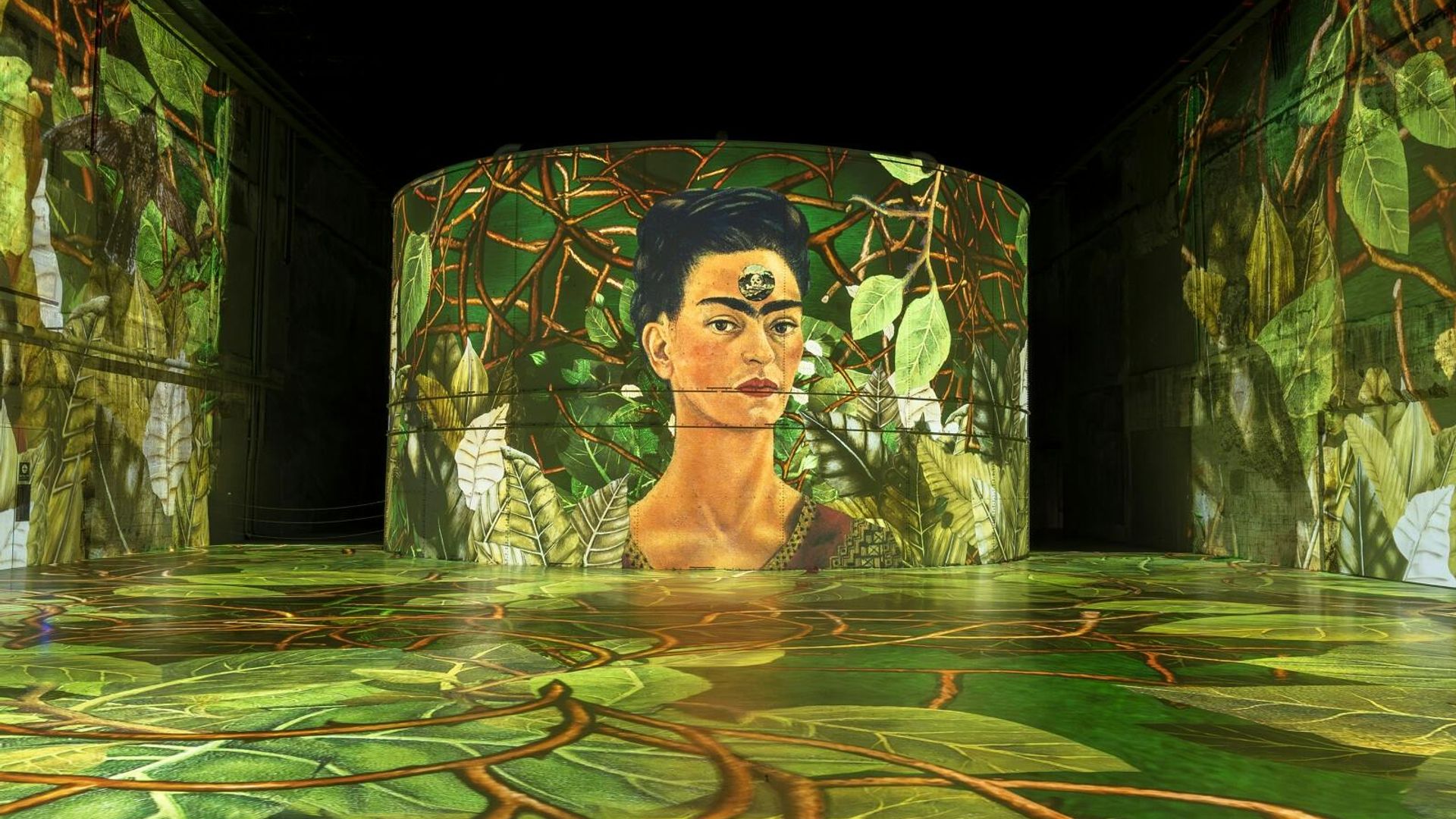 Matisse and Frida Kahlo immersive exhibition at Bassins des Lumières