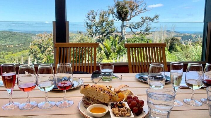 Waiheke Island Ziplining, Wine Tasting and Vineyard Lunch Tour