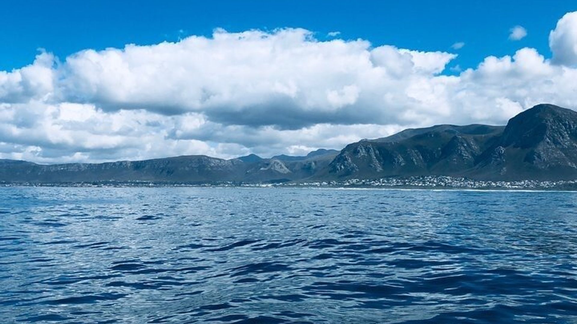 Hermanus Private Walbeobachtungstour mit Hotelabholung