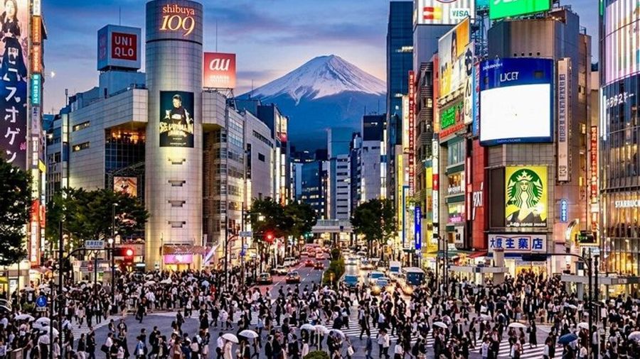 Tokyo Private, Personalized Walking Tour With Local Snack