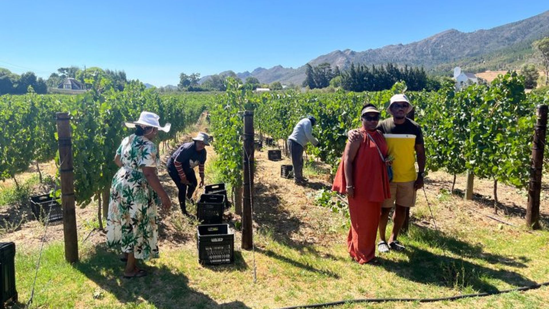 Privat : Sip & Explore Stellenbosch Wine Tour