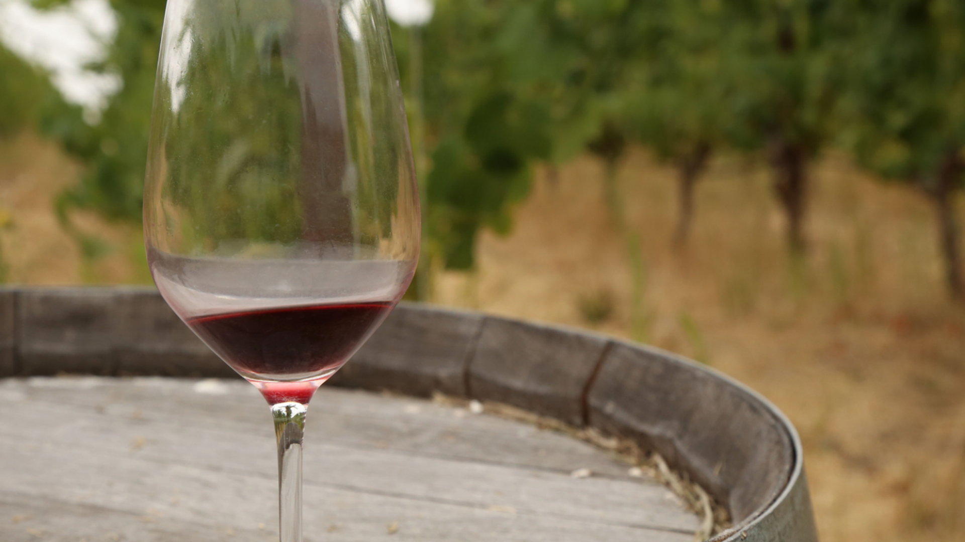 Private Tour Napa and Sonoma Wine Country image 1