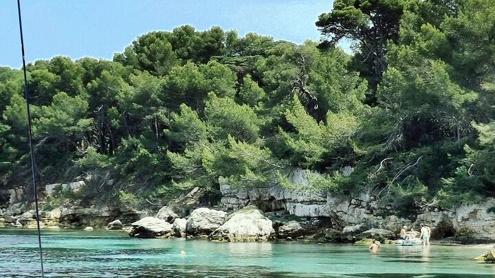 Cannes Ile Sainte-Marguerite Private Half-Day Boat Tour, Lunch