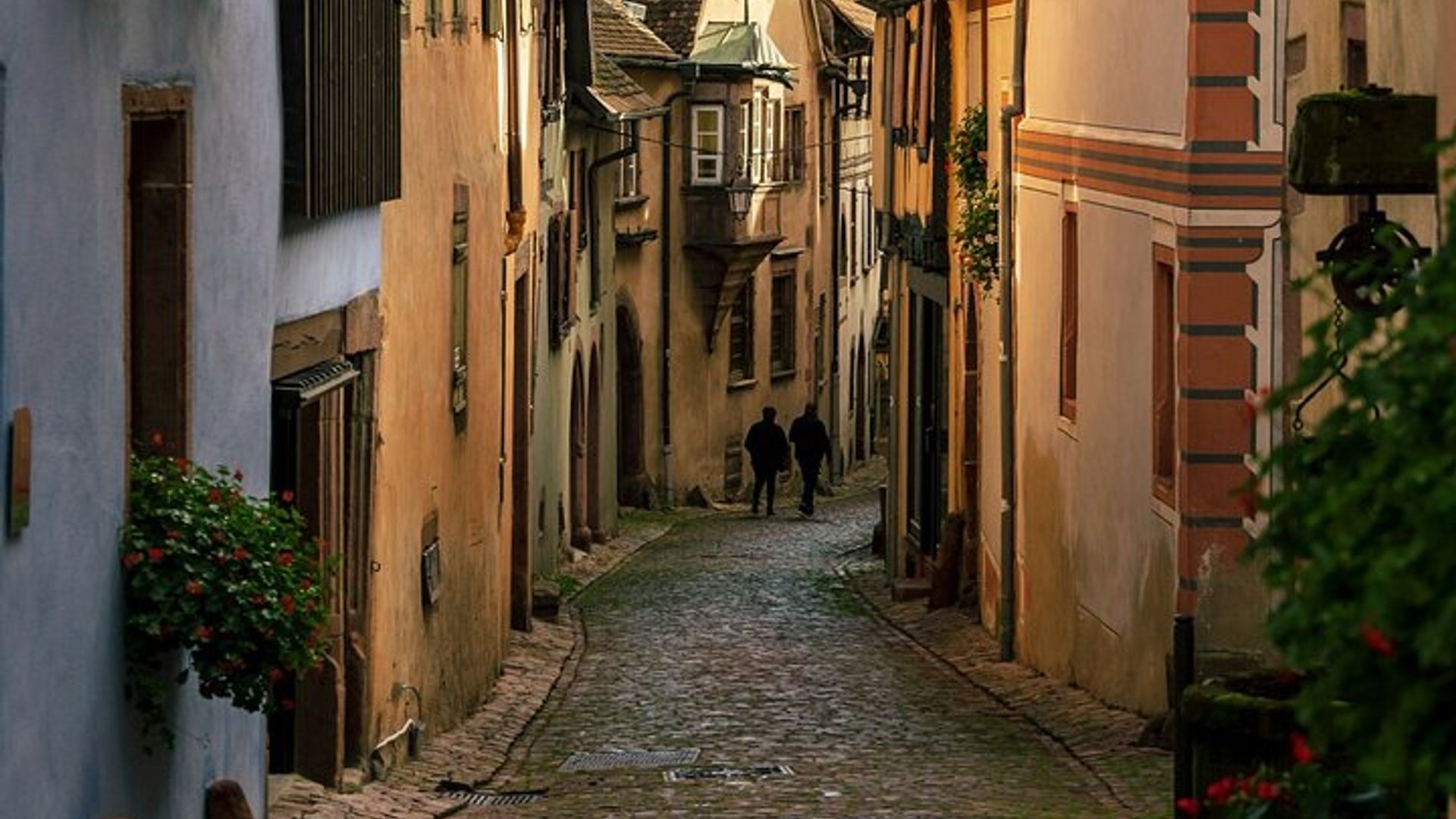Strasbourg : Excursion partagée à Ht-koenig, Riquewihr et Colmar