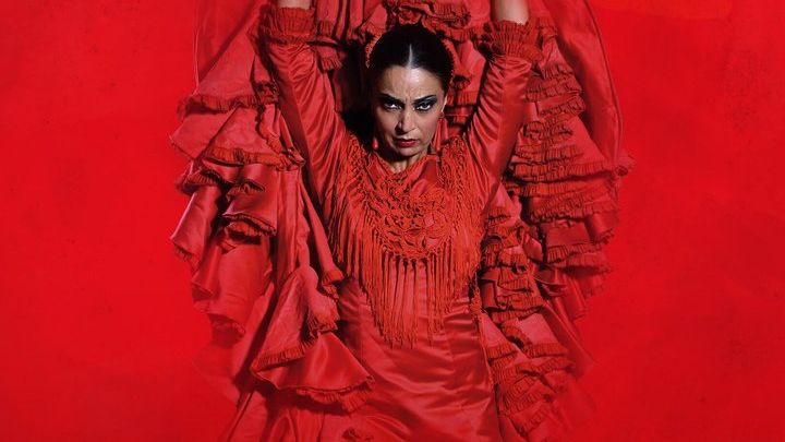 Granada: Teatro Flamenco Show Admission