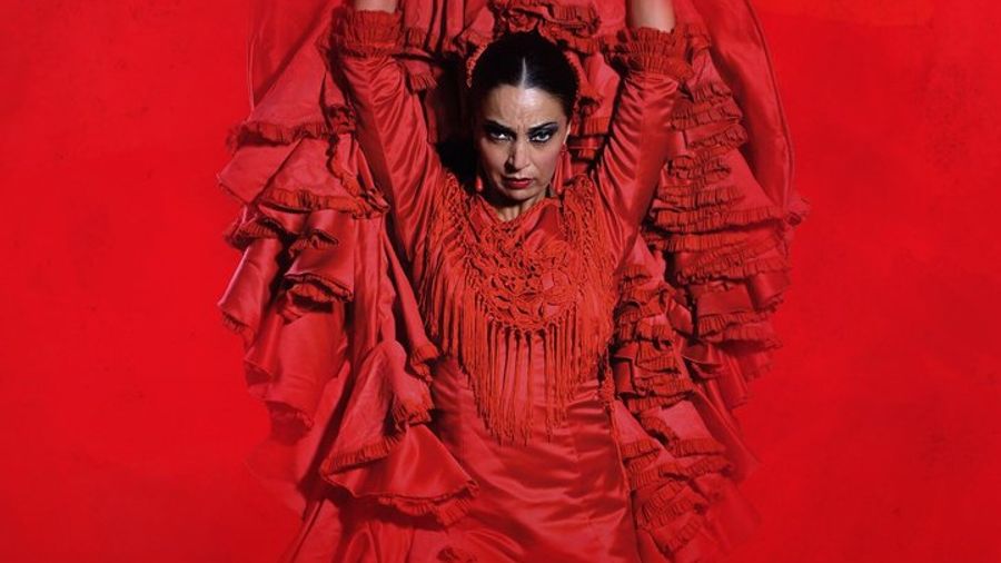 Granada: Premium Teatro Flamenco Granada Show Admission