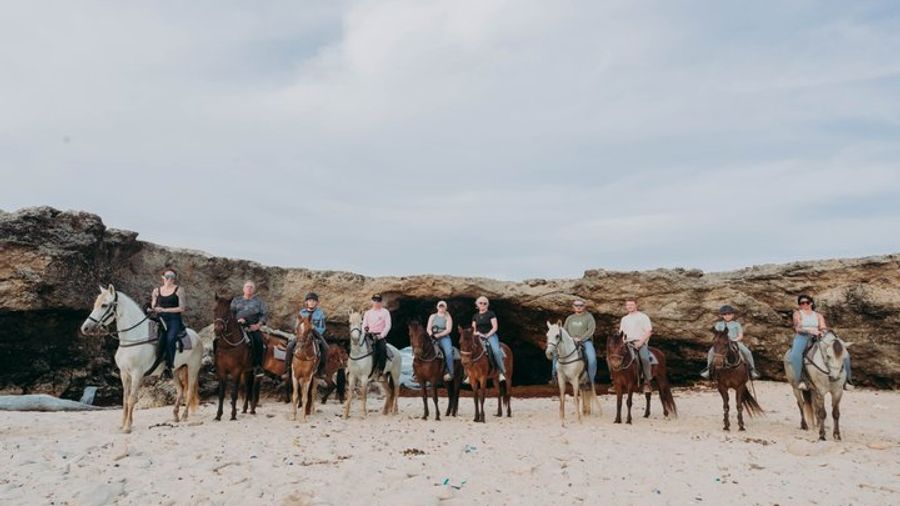 Short Aruba Horseback Riding Beach Tour