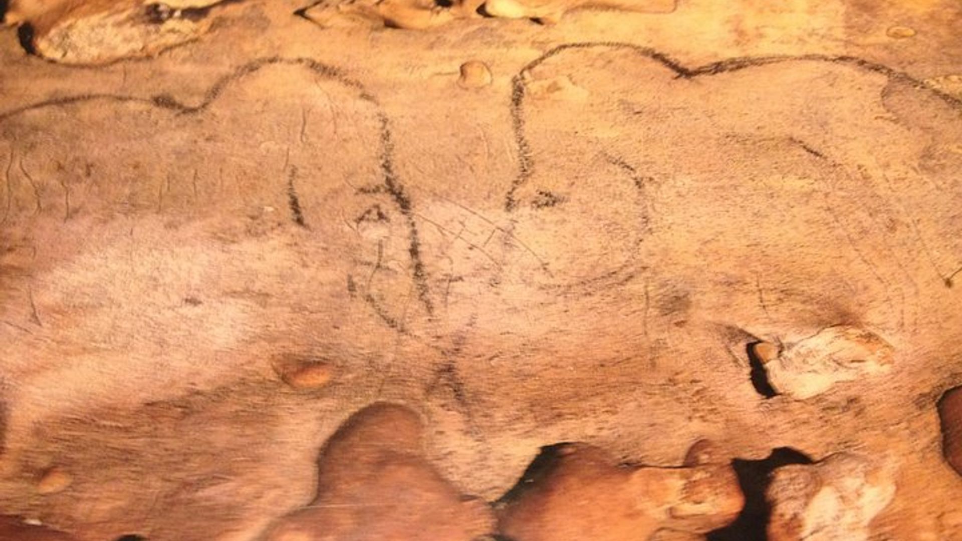 Private Lascaux Caves and Dordogne Valley Day Trip