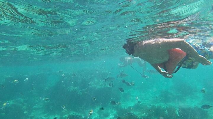 Isla Mujeres Snorkeling Excursion with Lunch