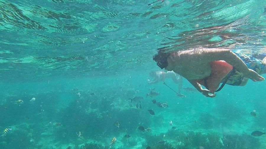 Isla Mujeres Snorkeling Excursion with Lunch