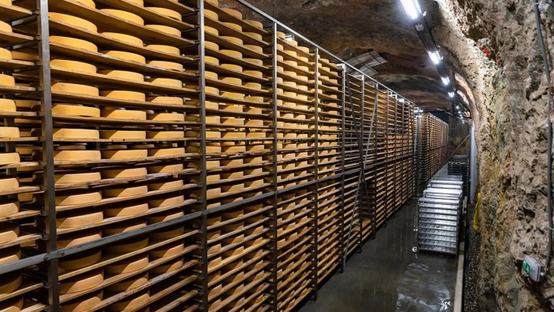 Parmigiano-Reggiano Cheese Factory Small group Tour From Parma