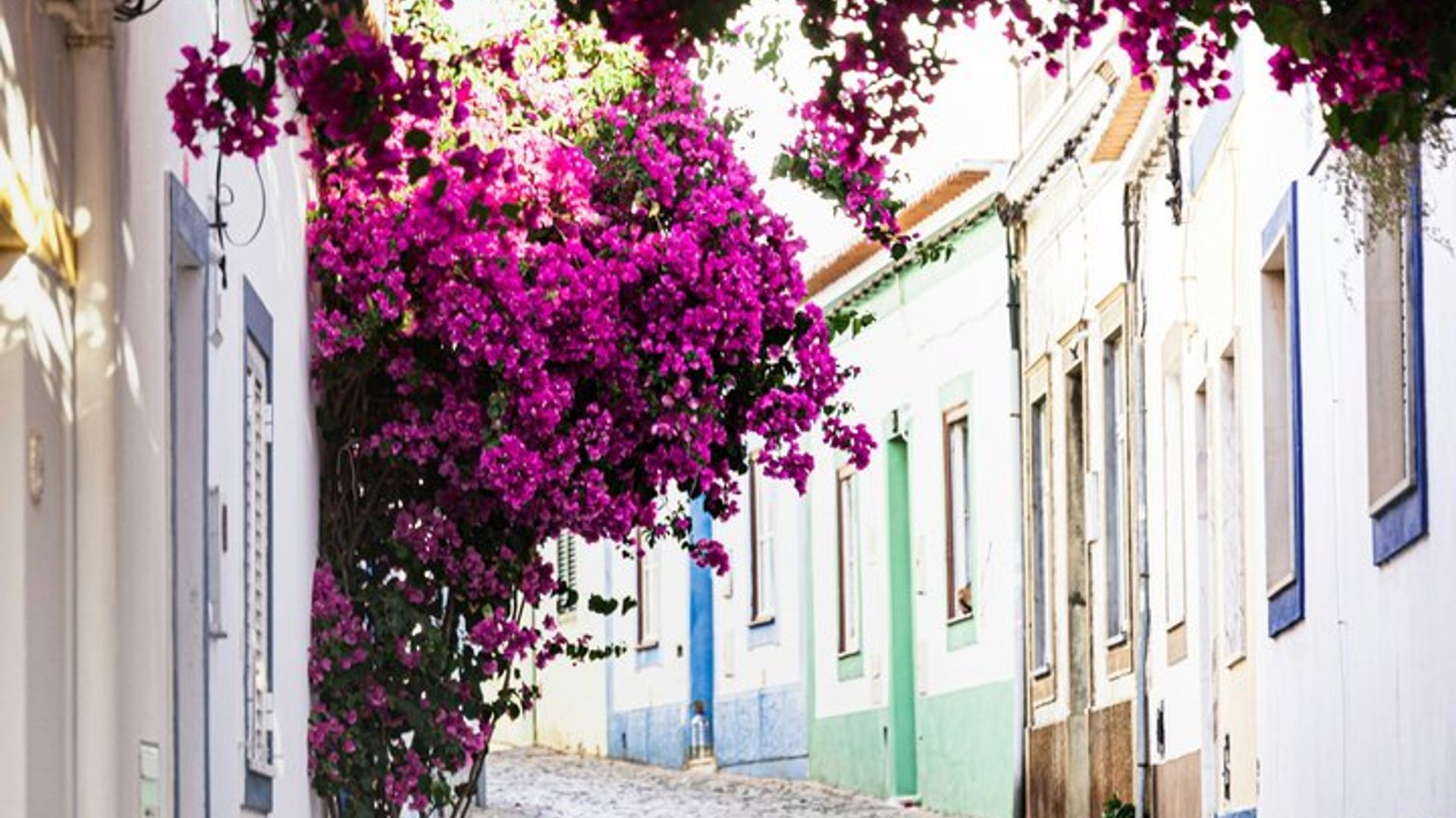 Excursion d'une journée complète à Silves et aux vignobles depuis Albufeira avec dégustations