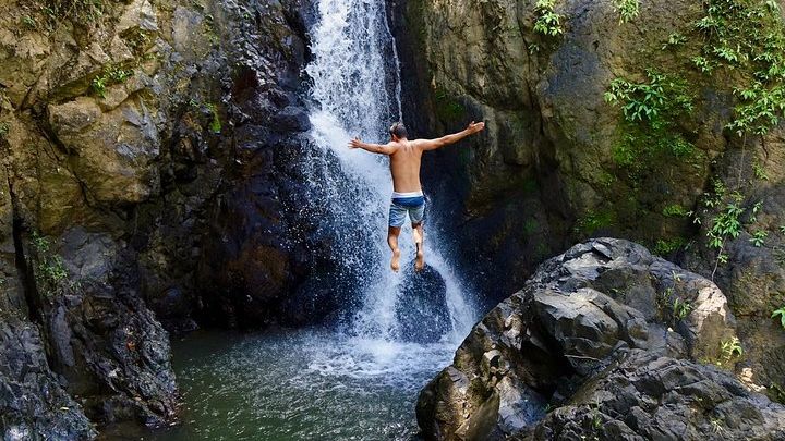 El Yunque Rainforest Hike Group Tour From San Juan